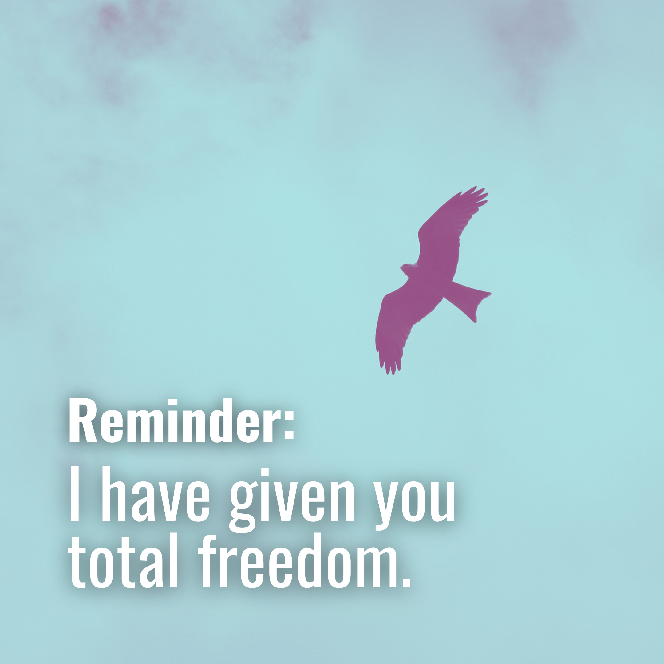 I have given you total freedom. 🕊